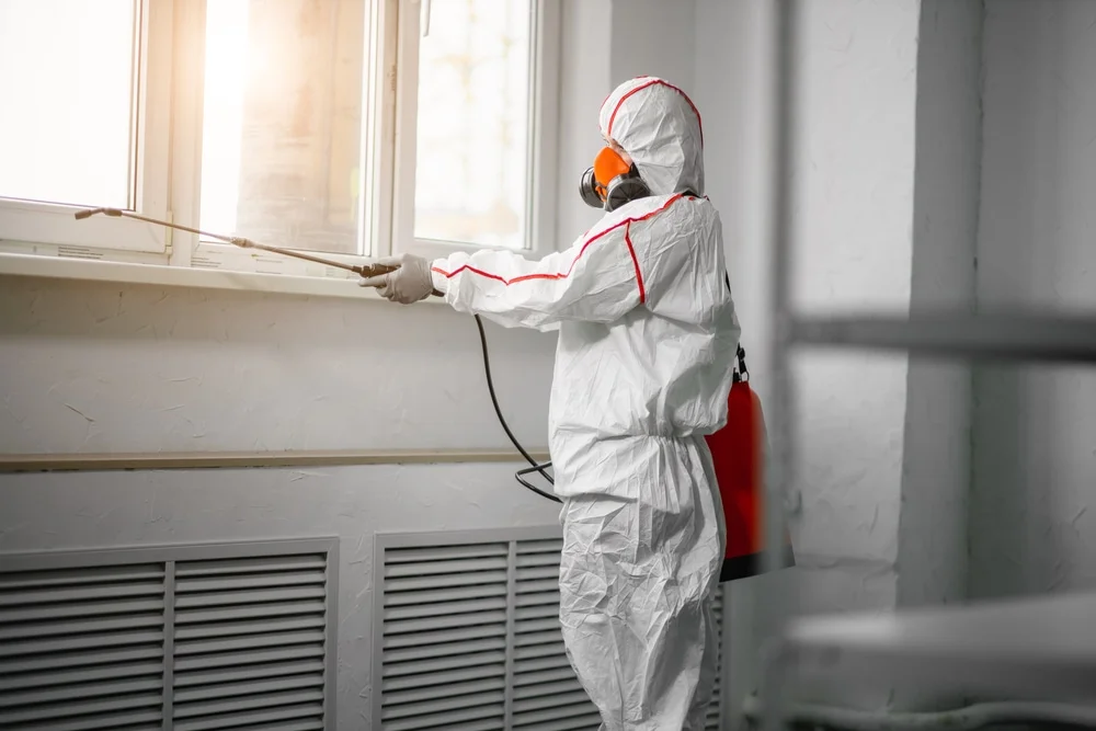 Professional mold remediation services in Wethersfield, CT